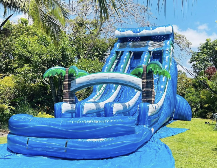 ( 24 FT Tall ) Blue Ocean Water or Dry Slide Doble lane